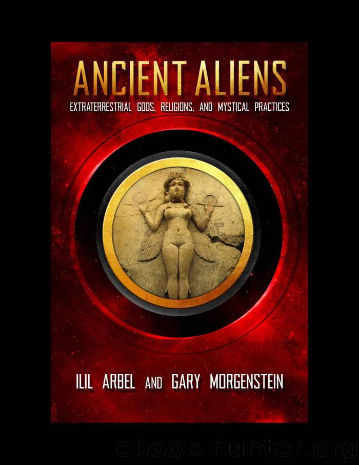 Ancient Aliens: Marradians and Anunnaki: Volume Two: Extraterrestrial Gods, Religions, and Mystical Practices by Ilil Arbel & Gary Morgenstein