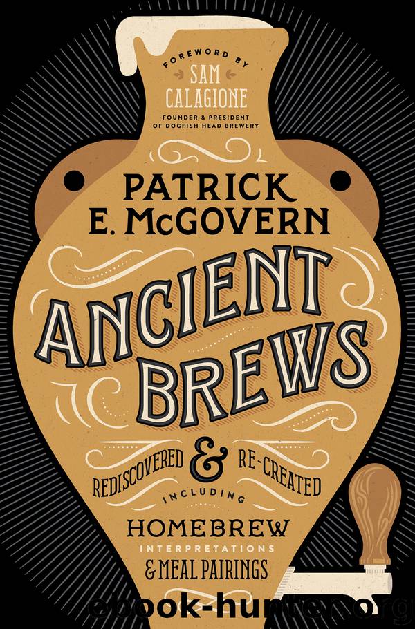 Ancient Brews by Patrick E. McGovern