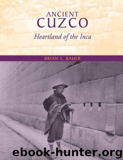 Ancient Cuzco by Brian S. Bauer