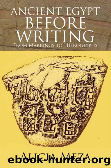 Ancient Egypt Before Writing: From Markings to Hieroglyphs by Alicia Meza