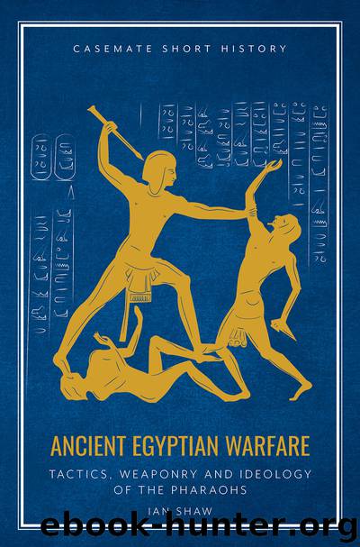 Ancient Egyptian Warfare by Ian Shaw