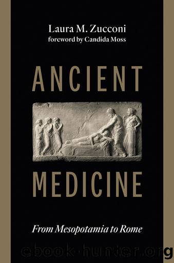 Ancient Medicine by Laura M. Zucconi;