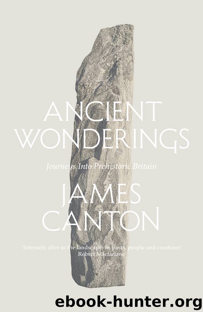 Ancient Wonderings by James Canton