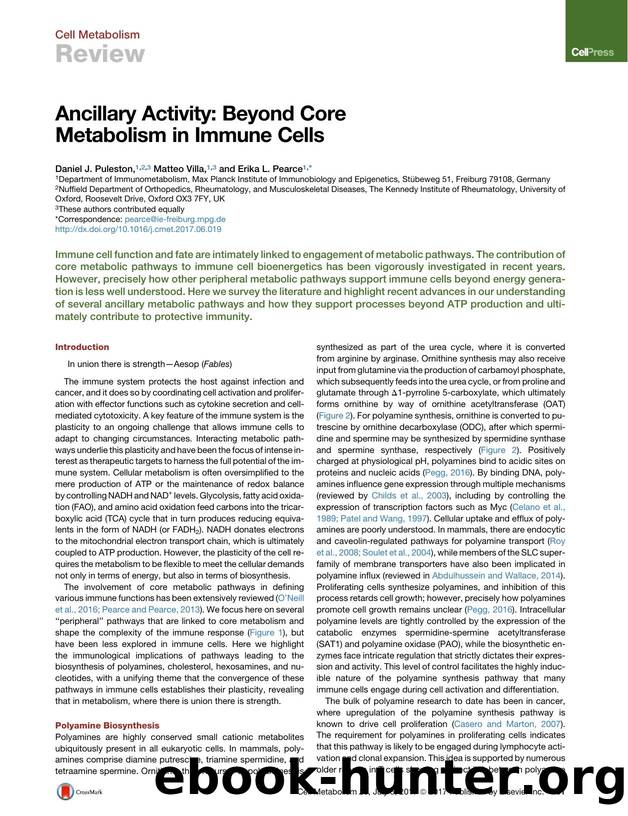 Ancillary Activity: Beyond Core Metabolism in Immune Cells by Daniel J. Puleston & Matteo Villa & Erika L. Pearce