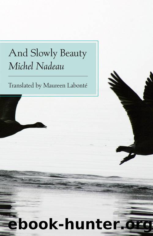 And Slowly Beauty by Michel Nadeau