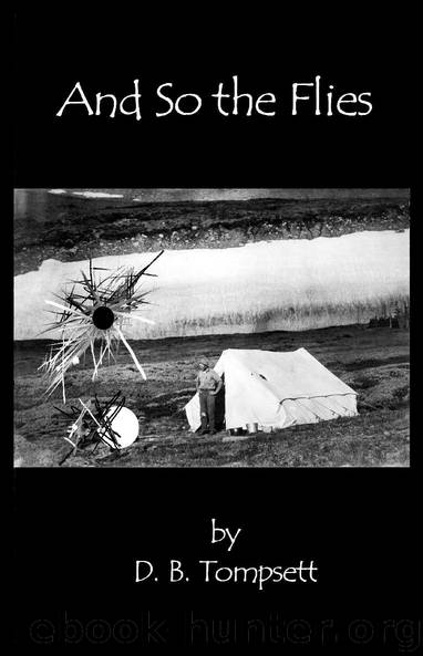 And So the Flies by D. B. Tompsett