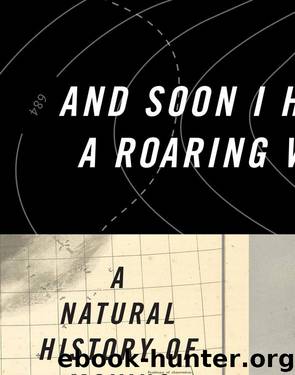 And Soon I Heard a Roaring Wind by Bill Streever