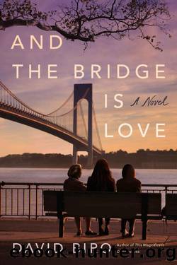 And the Bridge Is Love by David Biro