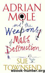 And the Weapons of Mass Destruction by Sue Townsend