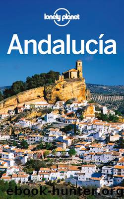 Andalucía Travel Guide by Lonely Planet