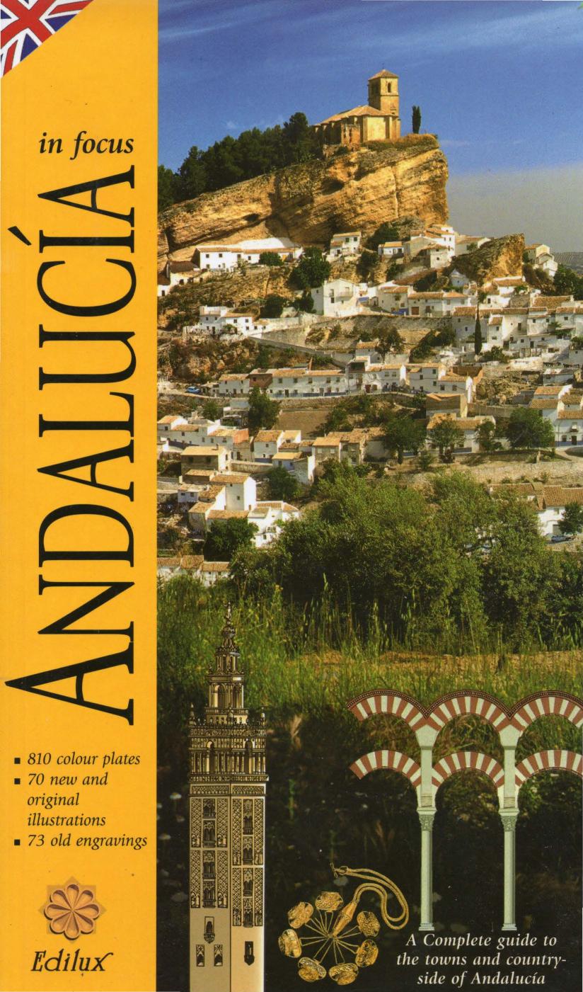 Andalusia in focus. A complete guide to the towns and countryside of AndalucÃ­a by Aurelio Cid Acedo