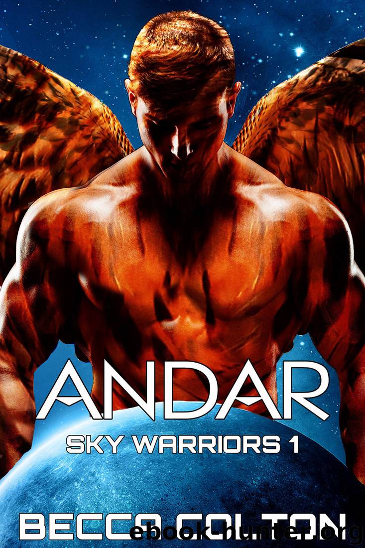 Andar (Sky Warriors Book 1) by Becca Colton
