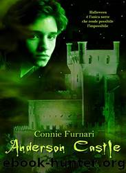 Anderson Castle by Connie Furnari