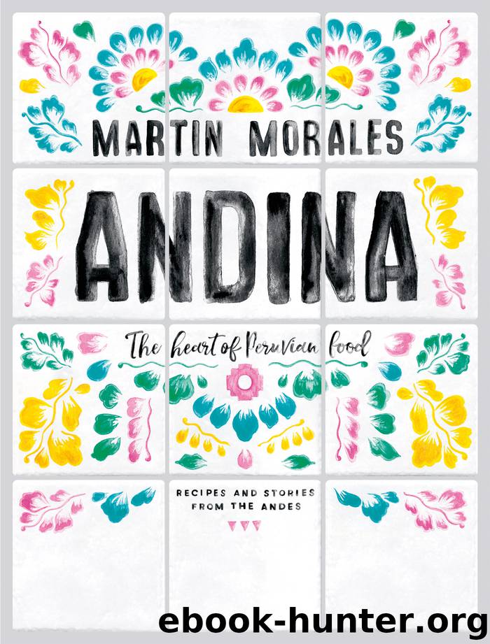Andina by Martin Morales
