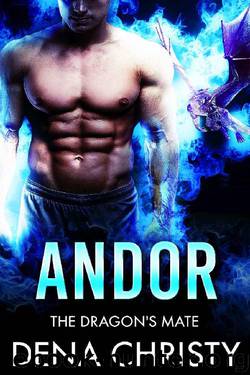 Andor (The Dragon's Mate Book 1) by Dena Christy