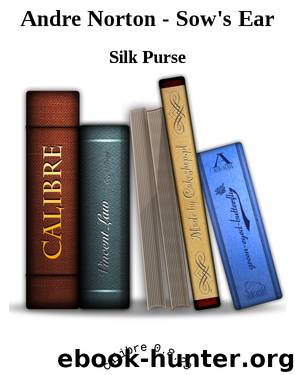 Andre Norton - Sow's Ear by Silk Purse