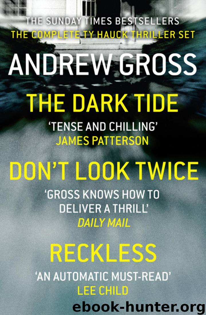 Andrew Gross 3-Book Thriller Collection 1: The Dark Tide, Don’t Look Twice, Relentless by Andrew Gross