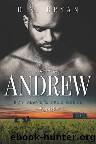 Andrew: Boy Slave to Free Rebel by Donald Bryan