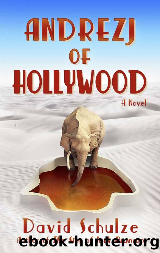Andrezj of Hollywood: A Novel by David Schulze