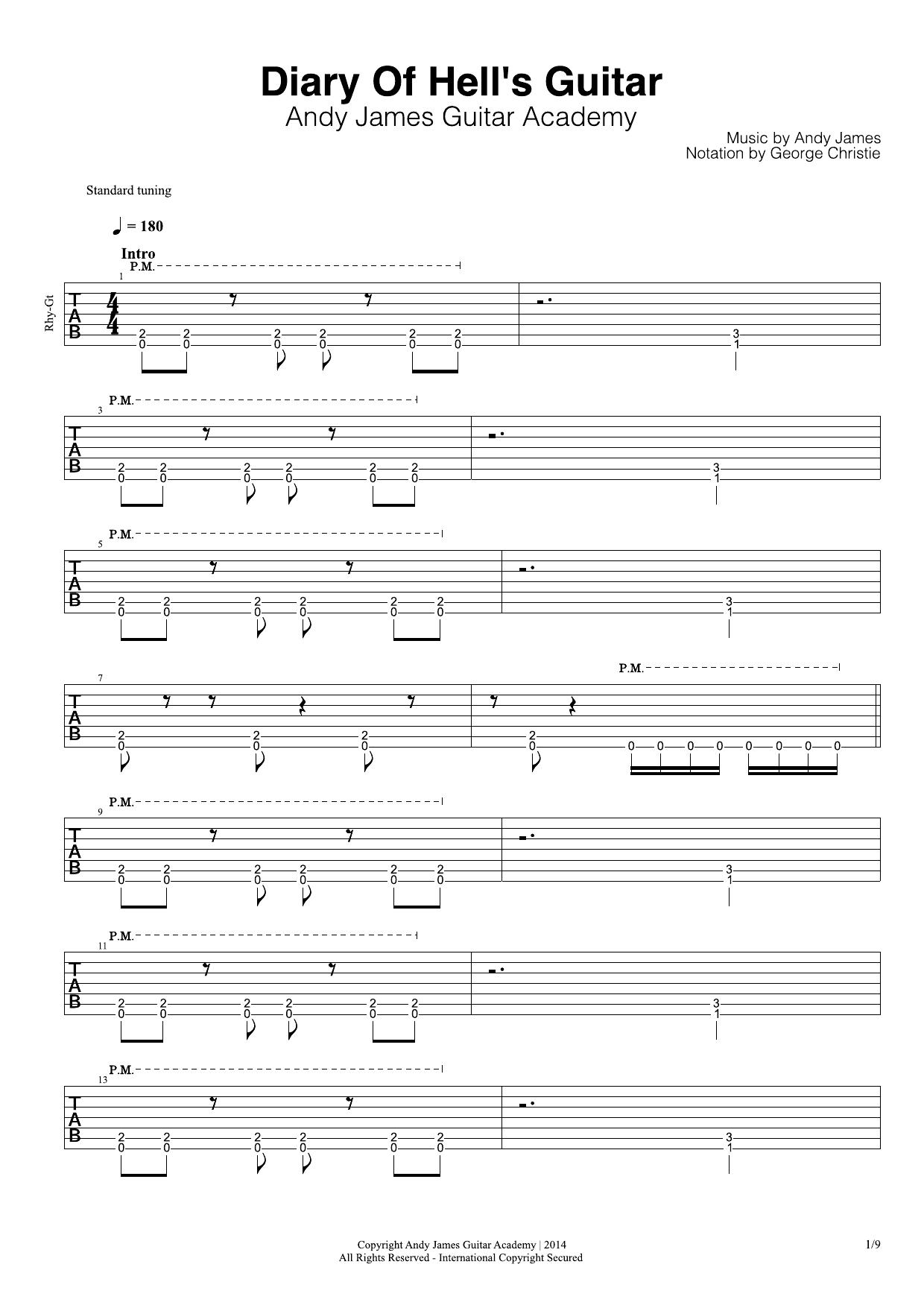 Andy James by Diary of Hell's Guitar (rhythm)