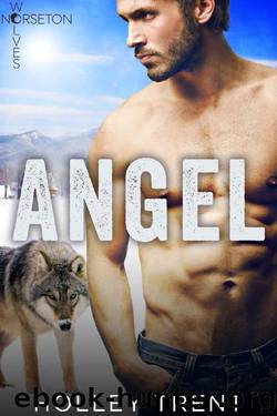 Angel (Norseton Wolves Book 9) by Holley Trent