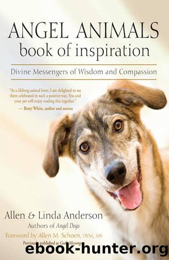 Angel Animals Book of Inspiration by Allen Anderson