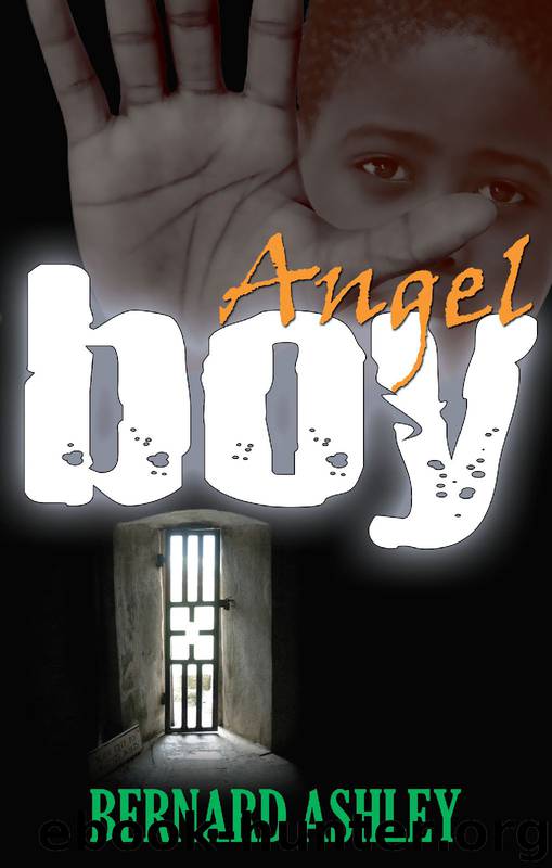Angel Boy by Bernard Ashley