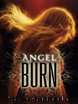 Angel Burn by L. A. Weatherly