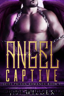 Angel Captive (SciFi Prison Romance Book 3) by J.S. Wilder