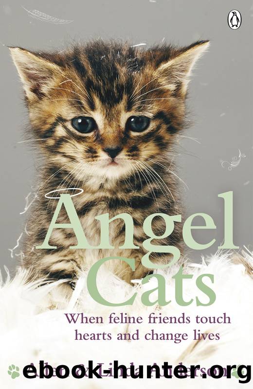Angel Cats by Allen Anderson & Linda Anderson