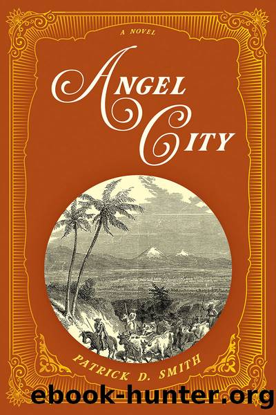 Angel City by Patrick D. Smith