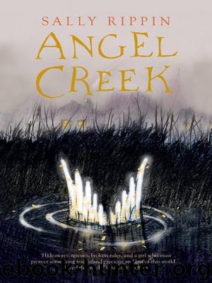 Angel Creek by Sally Rippin