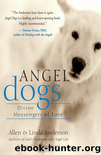 Angel Dogs by Allen Anderson