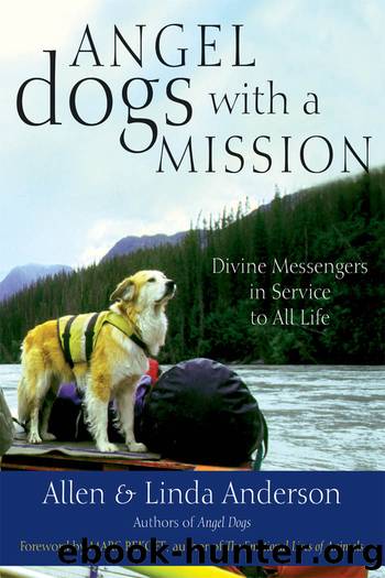Angel Dogs with a Mission by Allen Anderson
