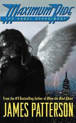 Angel Experiment by Patterson James