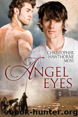Angel Eyes: A Gay Romamce of the Mexican War by Christopher Hawthorne Moss