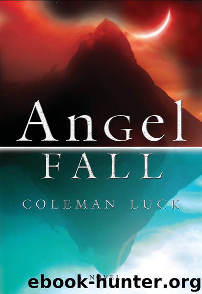 Angel Fall by Coleman Luck