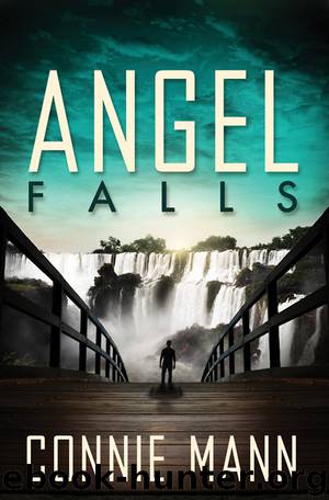 Angel Falls by Connie Mann
