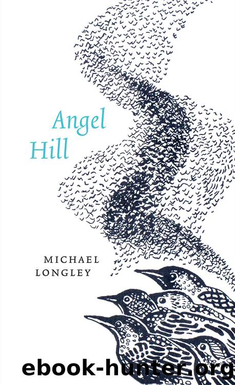 Angel Hill by Michael Longley