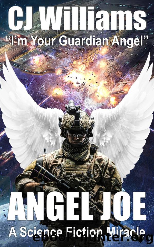 Angel Joe by CJ Williams