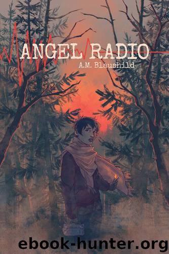 Angel Radio by A. M. Blaushild