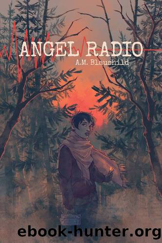 Angel Radio by A.M. Blaushild
