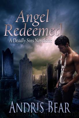 Angel Redeemed by Andris Bear