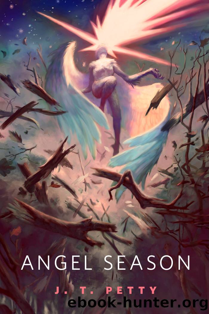 Angel Season by J. T. Petty
