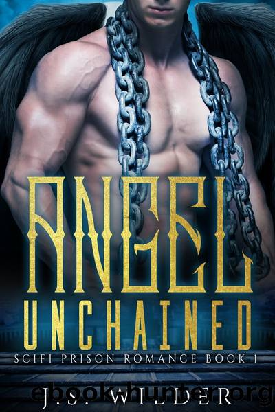 Angel Unchained by J.S. Wilder