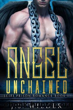 Angel Unchained: a Sci-Fi Prison Romance by J.S. Wilder