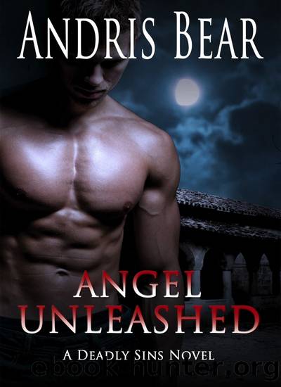 Angel Unleashed by Andris Bear