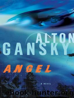 Angel by Alton L Gansky