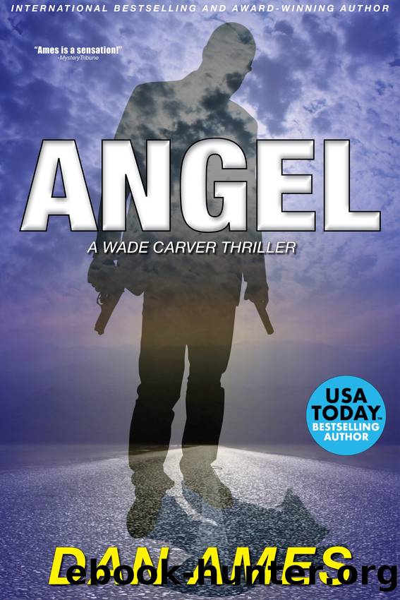 Angel by Dan Ames