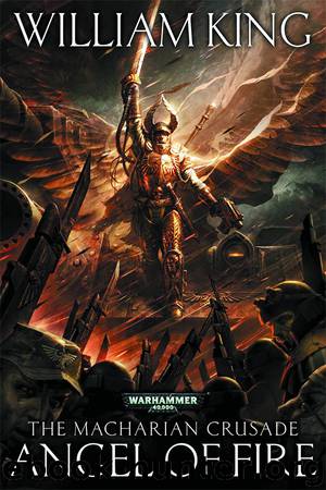 Angel of Fire by William King